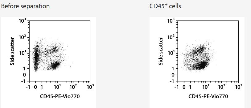 human colorectal carcinoma sample was dissociated using the gentleMACS Octo Dissociator with Heaters in combination with the Tumor Dissociation Kit, human (# 130-095-929). CD45+ TILs were isolated from the single-cell suspension using CD45 (TIL) MicroBeads, an LS Column, and a QuadroMACS Separator.<br />Cells were fluorescently stained with CD45-PE-Vio 770 and analyzed by flow cytometry using the MACSQuant Analyzer. Cell debris and dead cells were excluded from the analysis based on scatter signals and propidium iodide fluorescence.